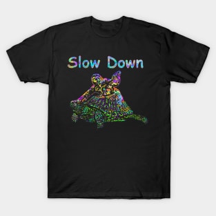 Sloth and Turtle Slow Down T-Shirt